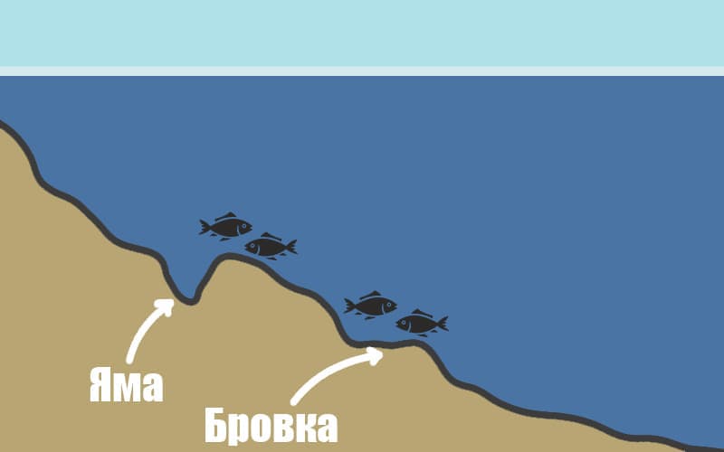 Схема поиска плотвы в перволедье