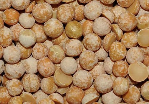 Лущеный горох для ловли карася